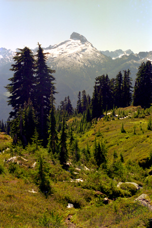 Enlarge photo 13