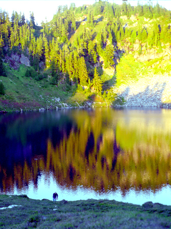 Enlarge photo 20