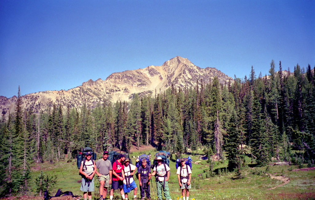 View Original Image