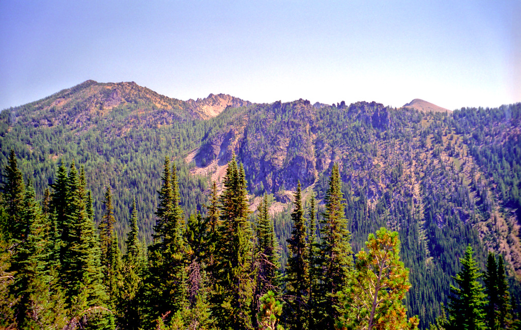 View Original Image