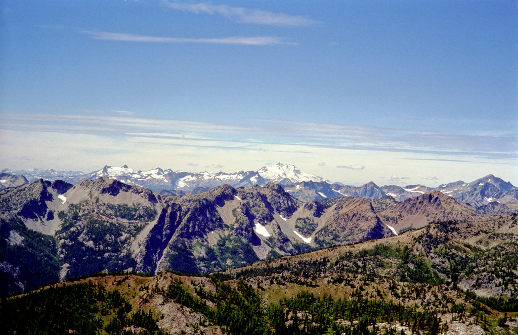 View Original Image
