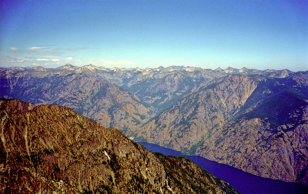 View Original Image