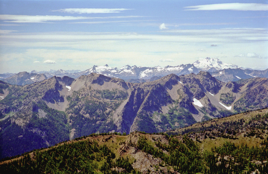 View Original Image