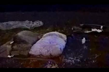 Enlarge MPEG4 55
