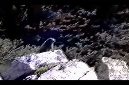 Enlarge MPEG4 60