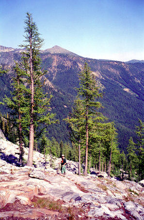 Enlarge photo 16