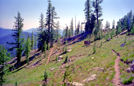 Enlarge photo 30