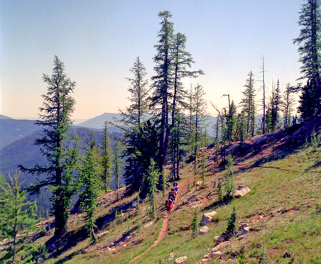 Enlarge photo 31