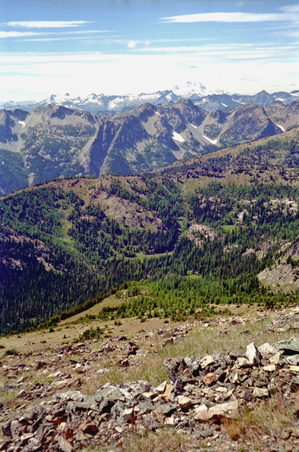 Enlarge photo 52