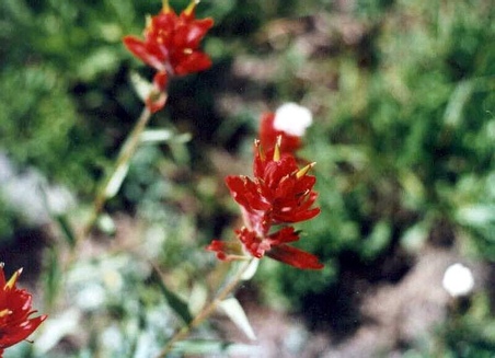 Enlarge photo 29