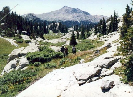 Enlarge photo 42
