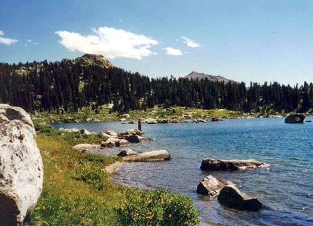 Enlarge photo 53