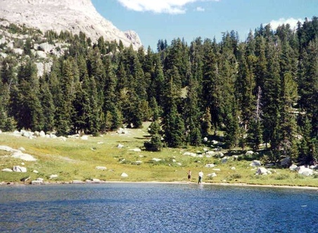 Enlarge photo 57
