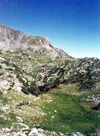 Enlarge photo 85