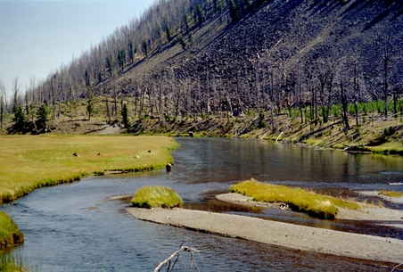 Enlarge photo 50