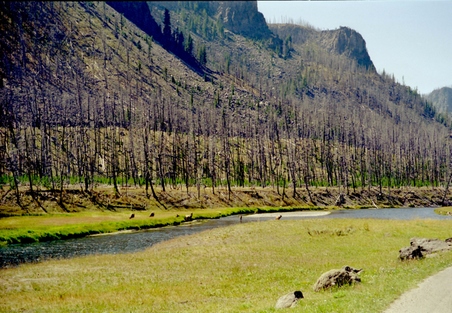 Enlarge photo 51