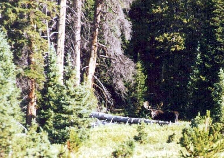 Enlarge photo 32