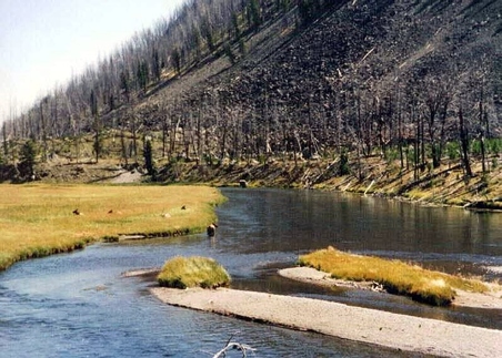 Enlarge photo 49