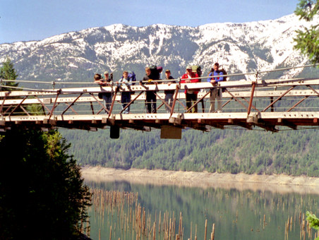 Enlarge photo 13