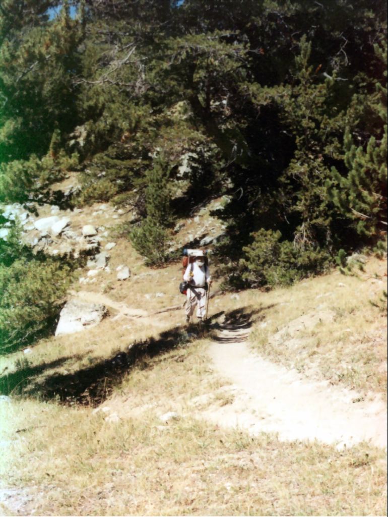 View Original Image