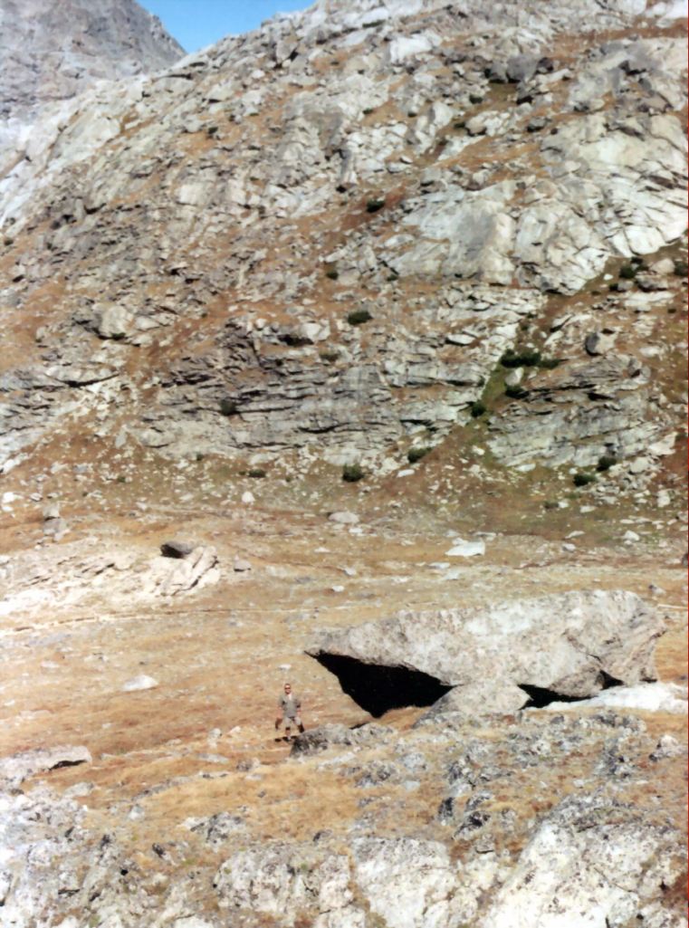 View Original Image