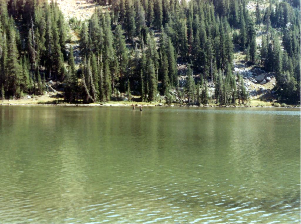 View Original Image