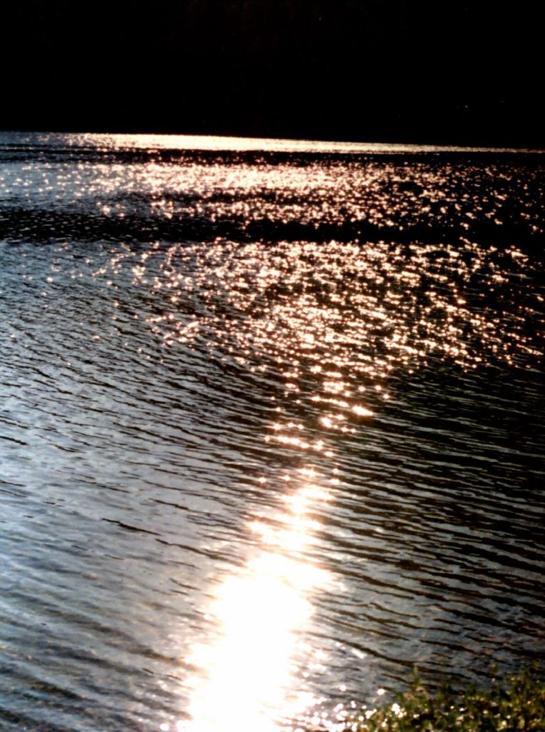 View Original Image