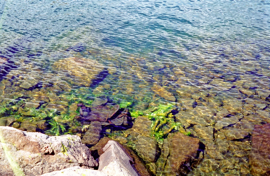 View Original Image