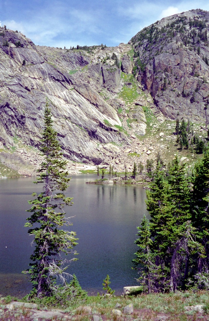 View Original Image