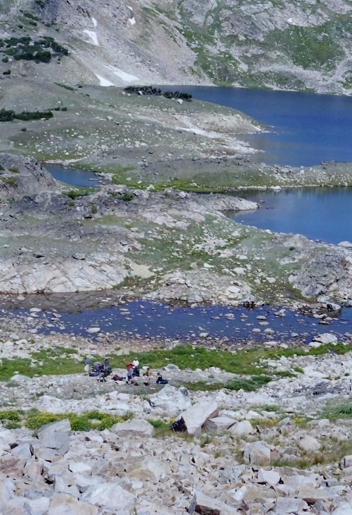 View Original Image