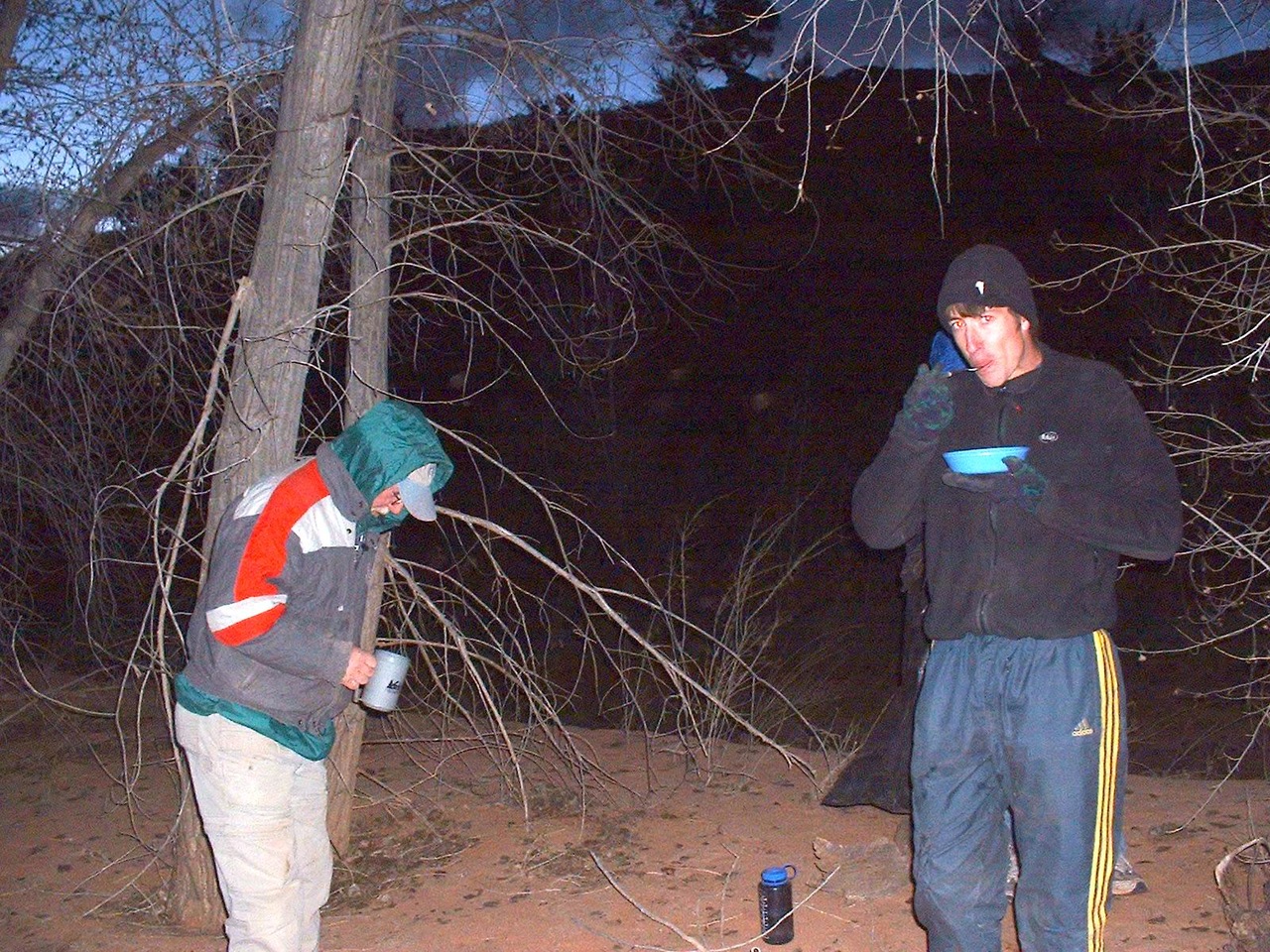 View Original Image