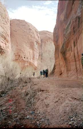 Enlarge photo 23