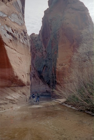 Enlarge photo 26