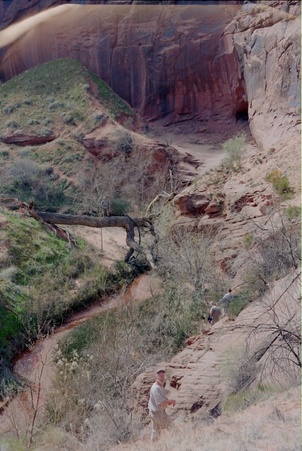 Enlarge photo 29