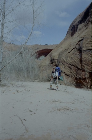 Enlarge photo 37