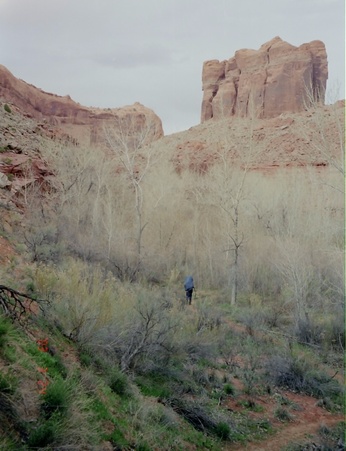Enlarge photo 40