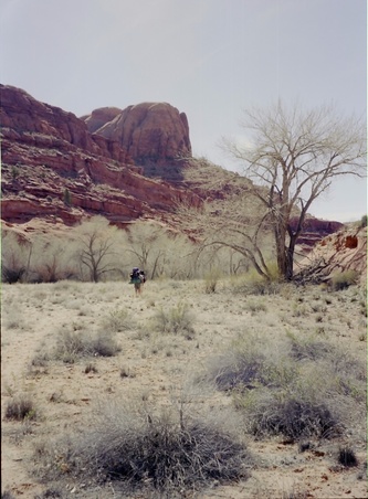 Enlarge photo 67