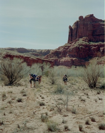 Enlarge photo 85