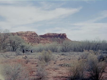 Enlarge photo 88