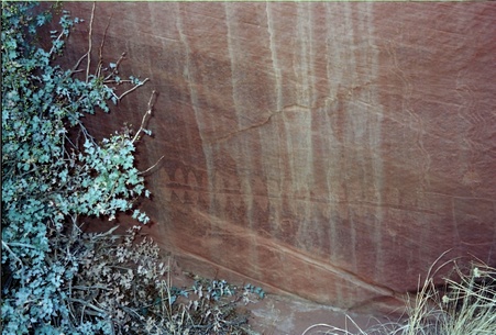 Enlarge photo 118