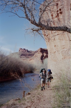 Enlarge photo 120