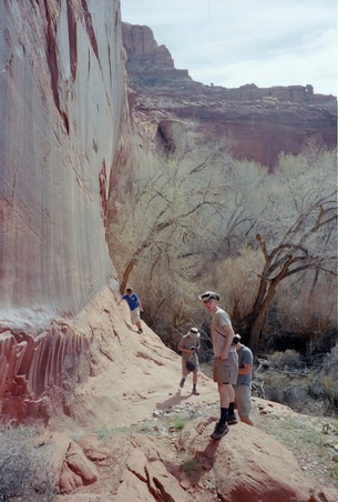 Enlarge photo 132