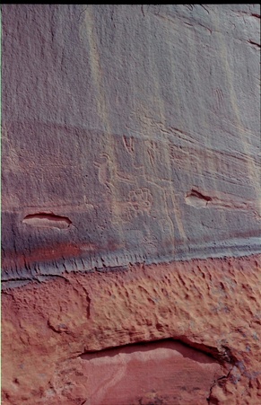 Enlarge photo 137