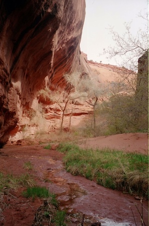 Enlarge photo 143