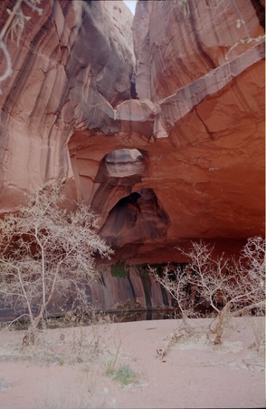 Enlarge photo 148