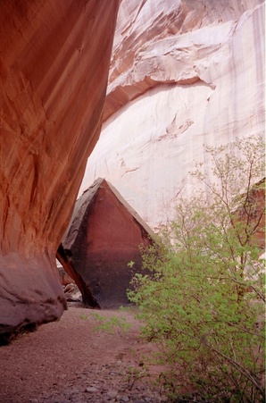 Enlarge photo 154