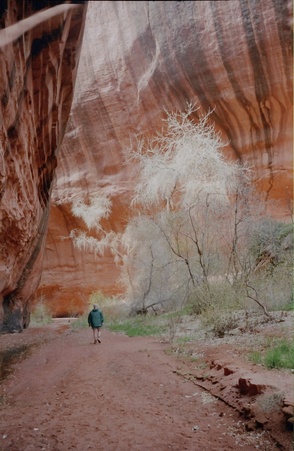 Enlarge photo 157