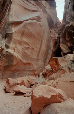 Enlarge photo 166