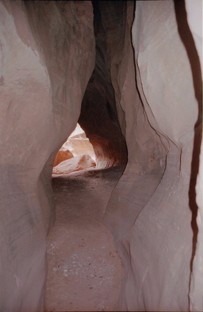 Enlarge photo 174