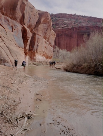 Enlarge photo 178